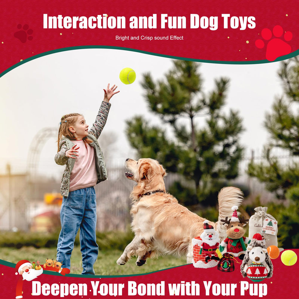 Calibonbon gift bag packaging showcases holiday-ready presentation for gifting dogs