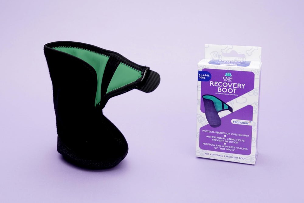 Calm Paws Recovery Boot soft inner lining minimizes rubbing and irritation.