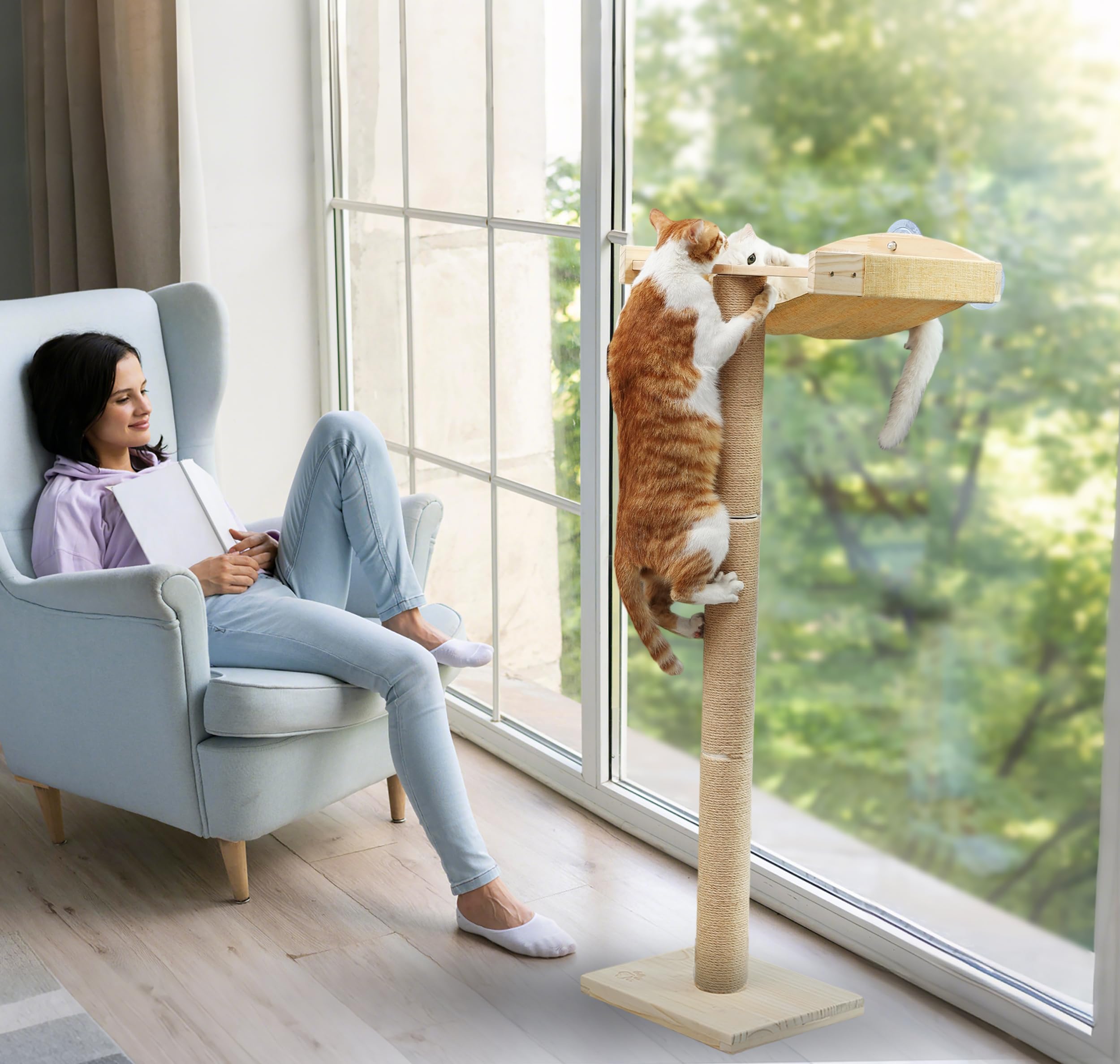 Caloreduce perch offers a birds-eye viewing angle to observe outdoors from indoors.