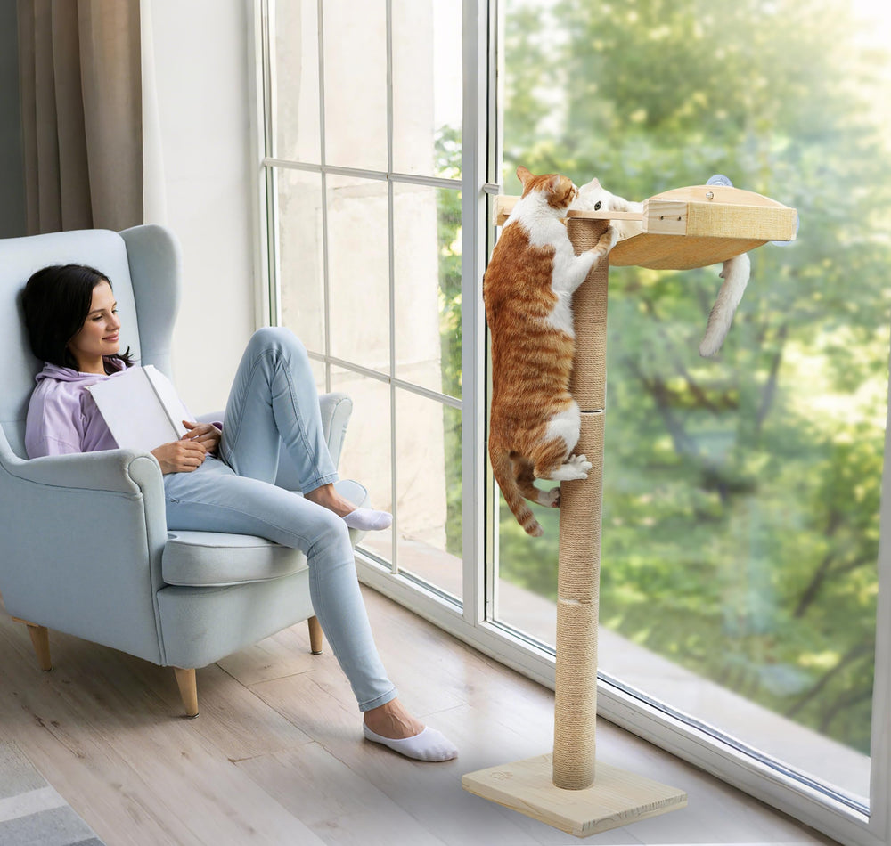 Caloreduce perch offers a birds-eye viewing angle to observe outdoors from indoors.