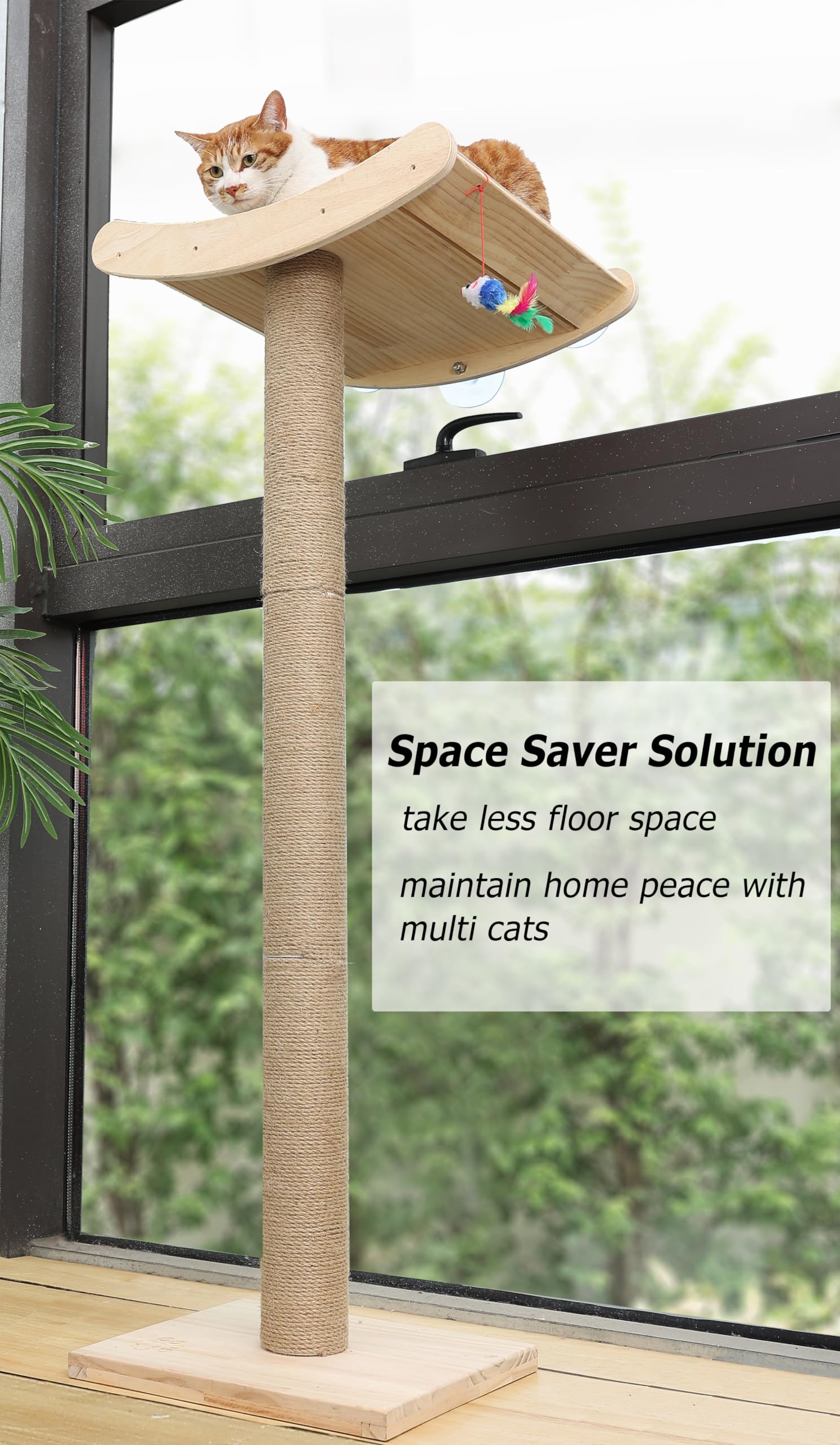 Caloreduce large-cat-lounging-view offers a calm elevated vantage.