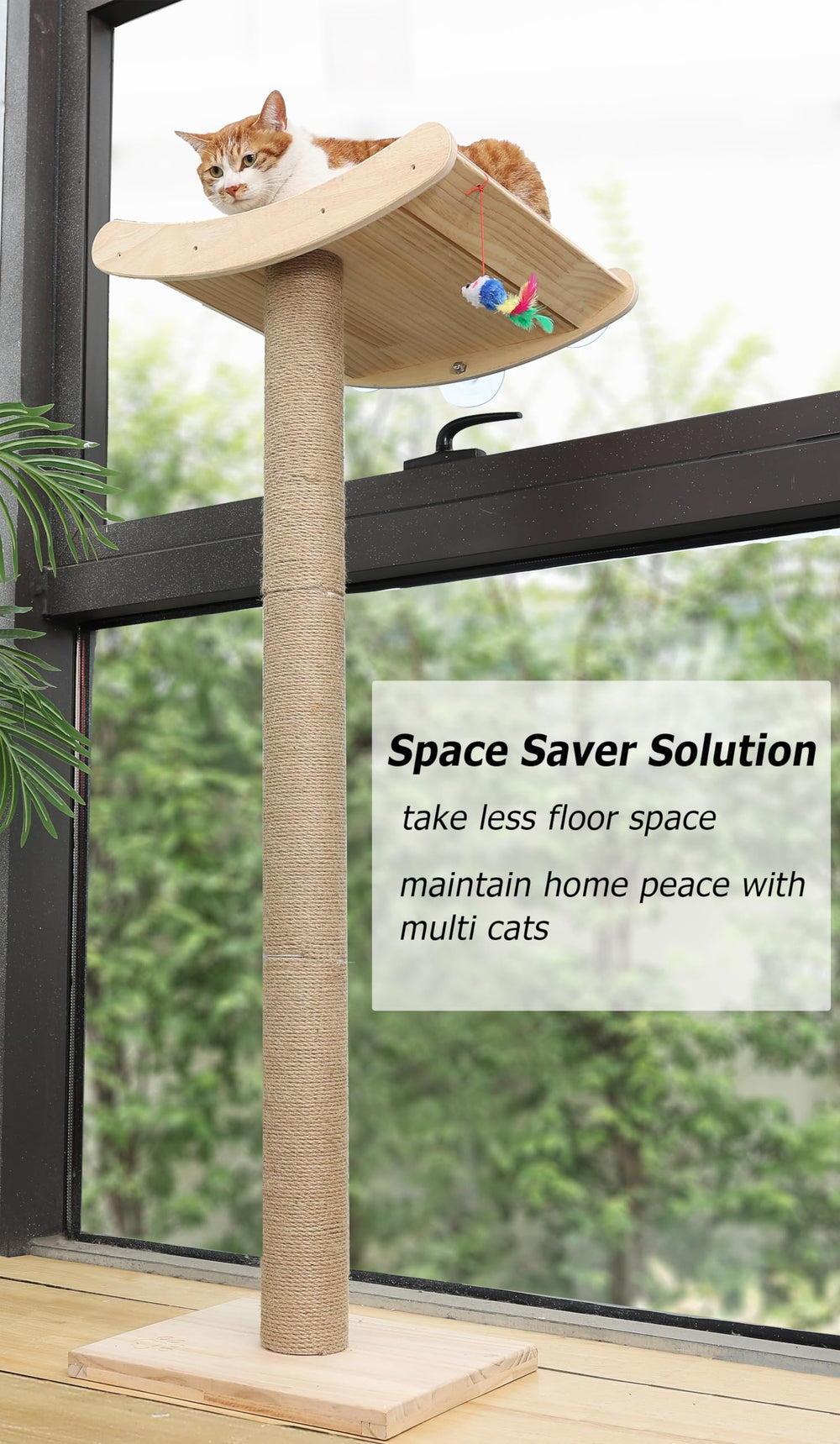 Caloreduce large-cat-lounging-view offers a calm elevated vantage.