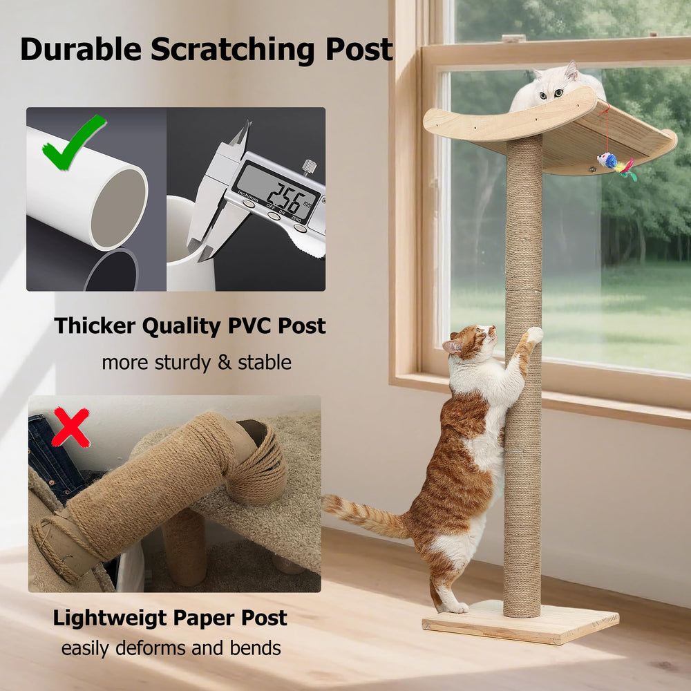 Caloreduce three-suction-cups-secure-attachment keeps perch stable on glass.