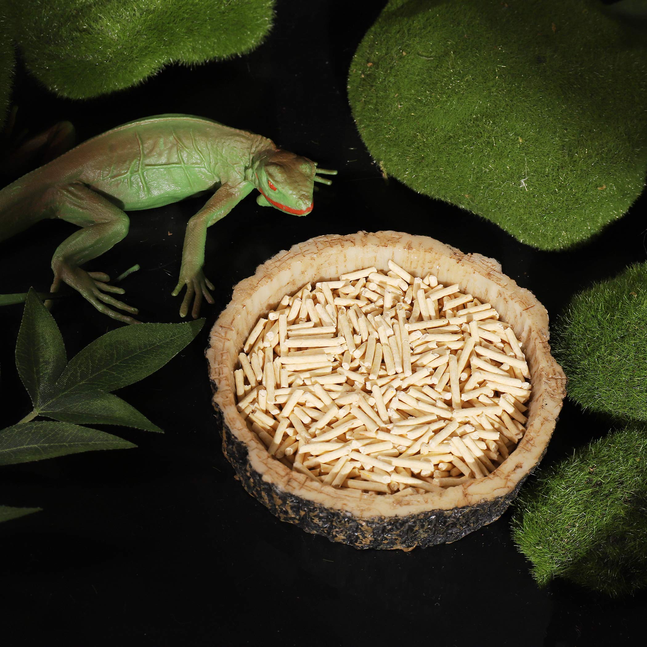 CalPalmy 4-inch dimensions suit small reptiles and amphibians