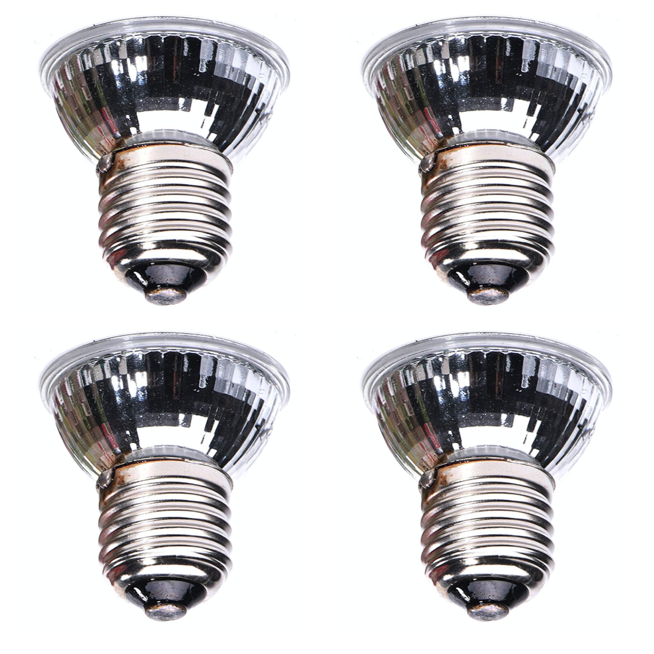 CALPALMY 4-Pack 50W UV bulbs tank-setup illustrating warm glow above a terrarium.