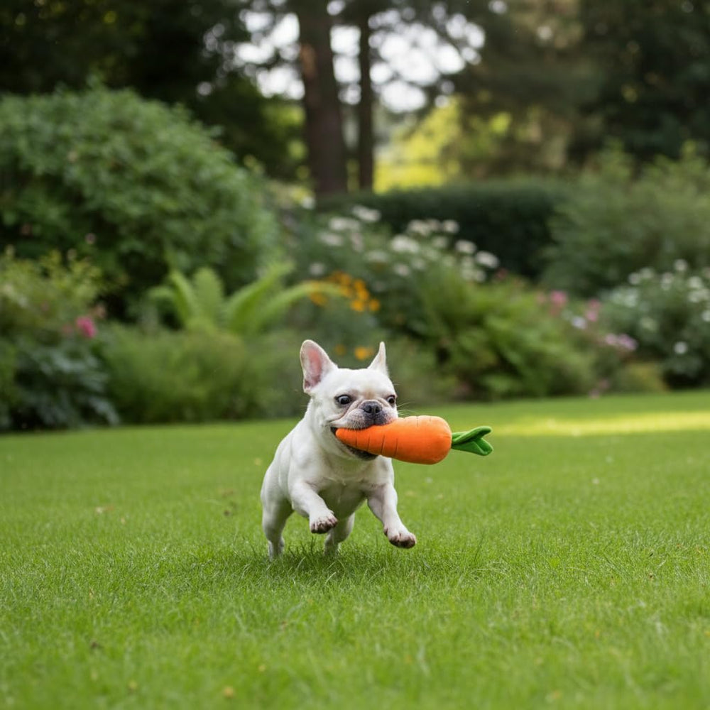 Calsgkspray carrot toy offers versatile sizes for all breeds