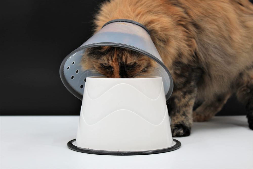 CAM bowls display 7-inch diameter and 4.25-inch height