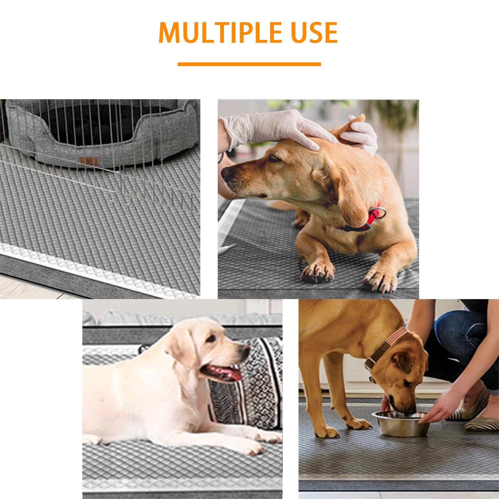 Camonti versatile pads fit kennels, crates, and travel setups.