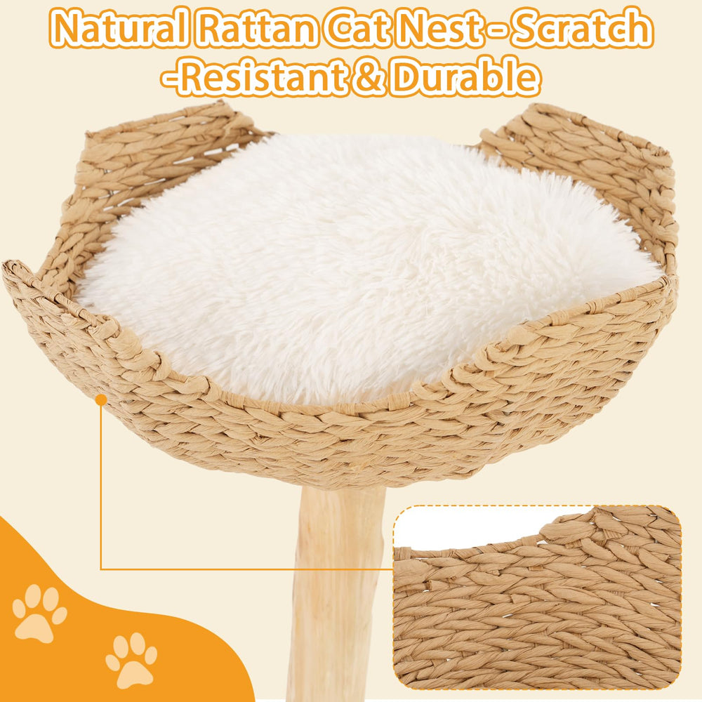 CAMTTIR cat tree includes removable plush cushion for easy cleaning.