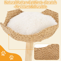 CAMTTIR cat tree includes removable plush cushion for easy cleaning.