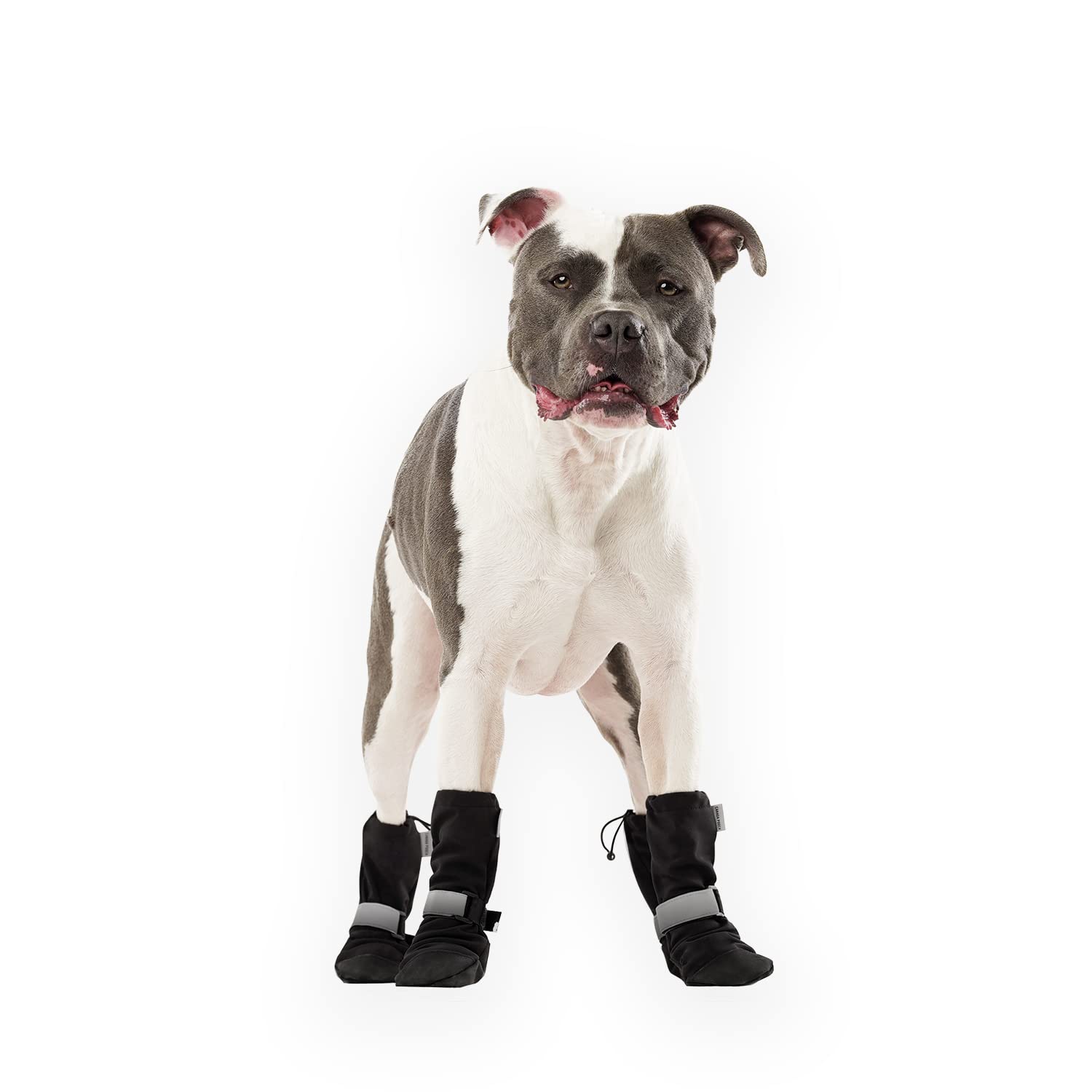 Canada Pooch dog winter boots front view black size 6 for paw protection