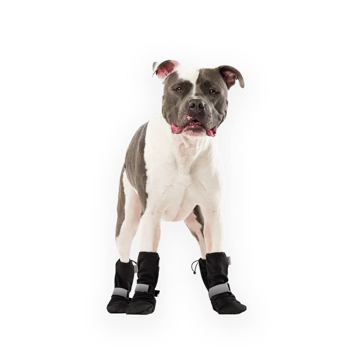 Canada Pooch dog winter boots front view black size 6 for paw protection