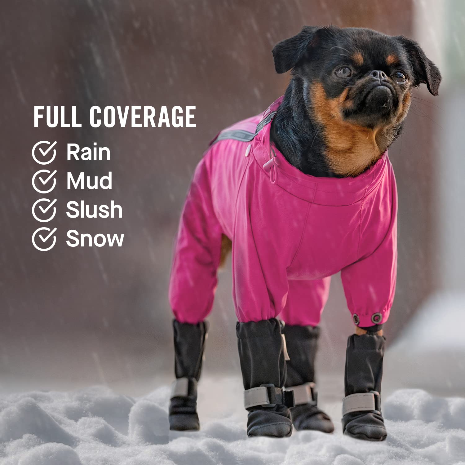 Canada Pooch dog winter boots worn on dog display