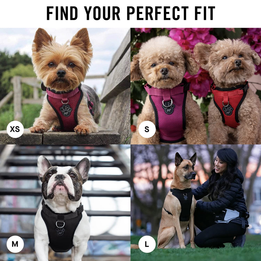 Canada Pooch Everything No Pull Harness adjustable fit ensures a snug, comfortable wear.