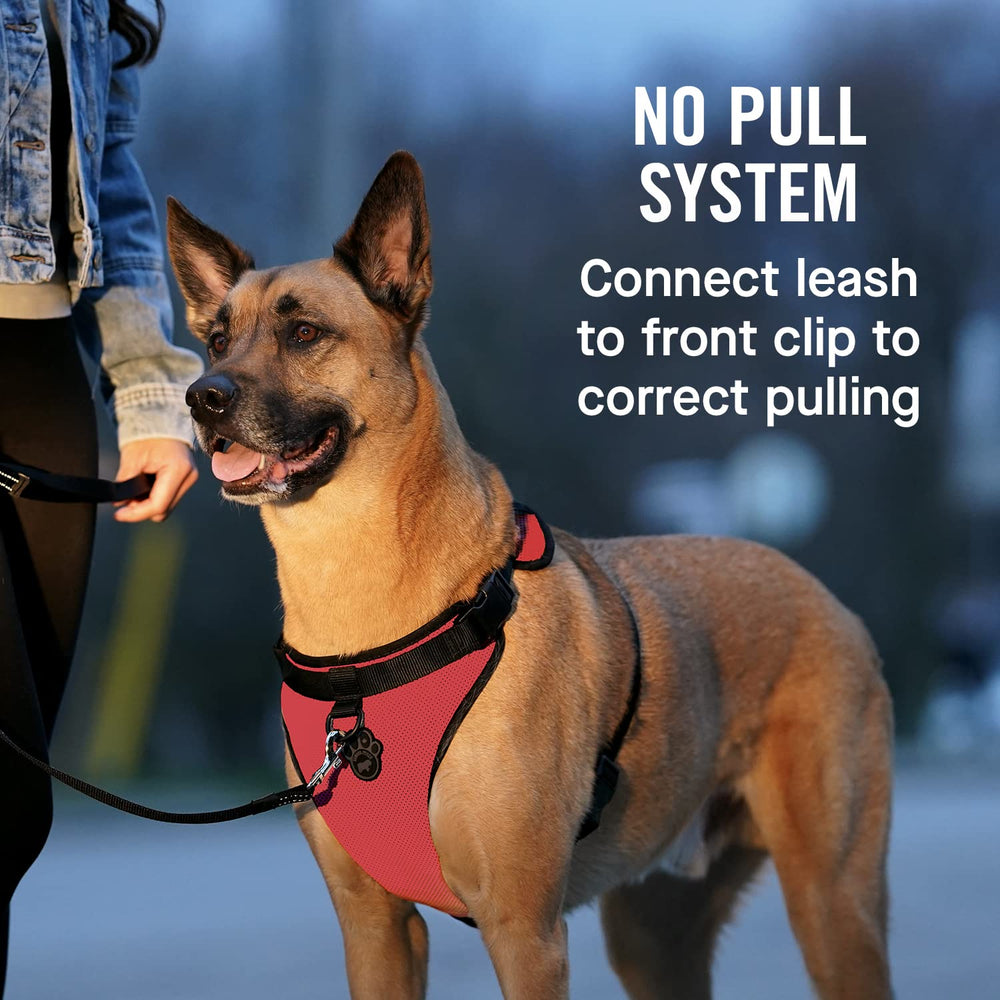 Canada Pooch Everything No Pull Harness back D-ring supports comfortable leash walks without neck strain.