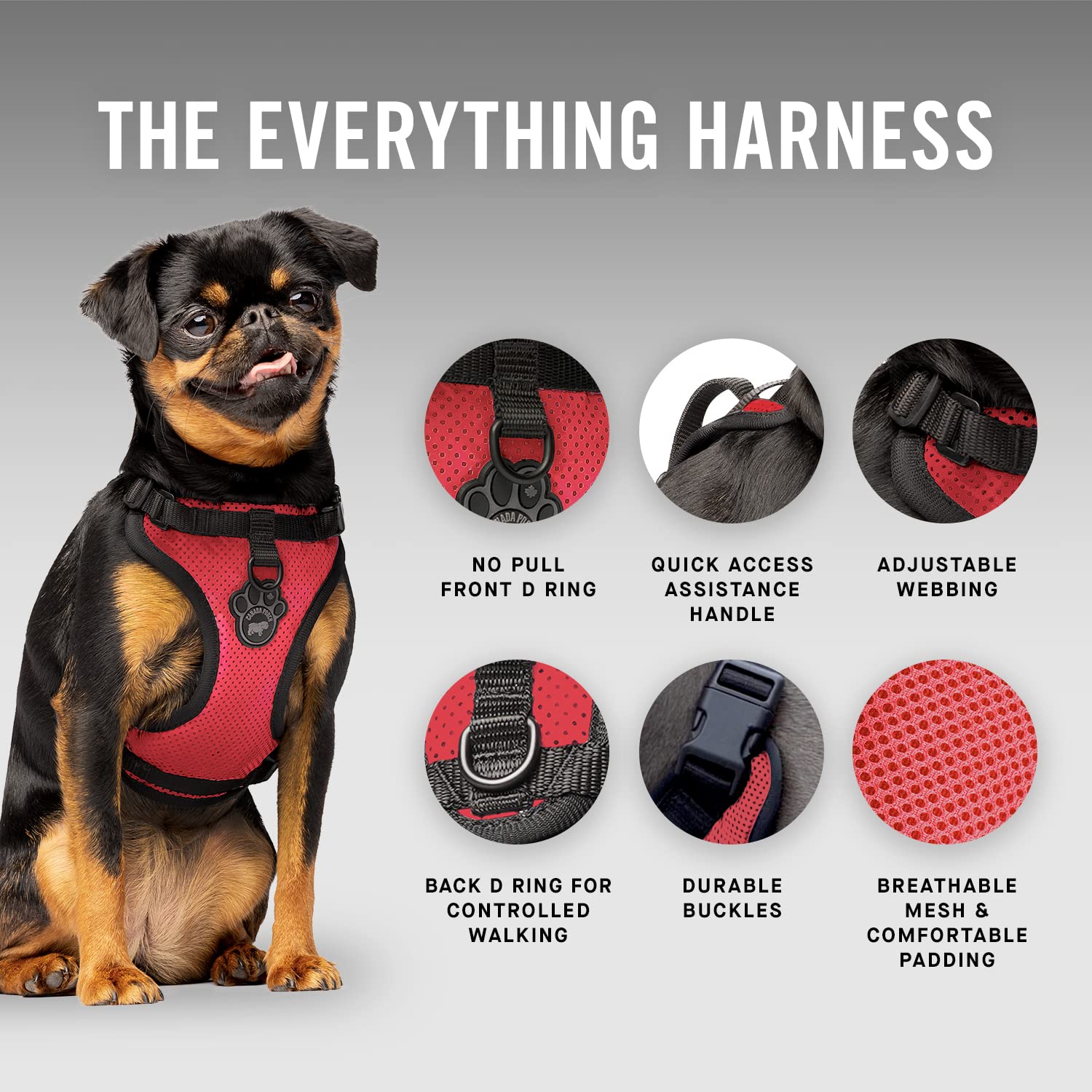 Canada Pooch Everything No Pull Harness padding provides secure, soft contact on neck and chest during activities.