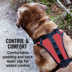 Canada Pooch Everything No Pull Harness seatbelt compatibility keeps dogs secure during car travel.
