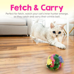 Cancor Innovations Cat Crinkle Ball in action for batting and chasing during interactive play.