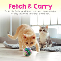Cancor Innovations safe soft crinkle poms shown for gentle engaging cat play