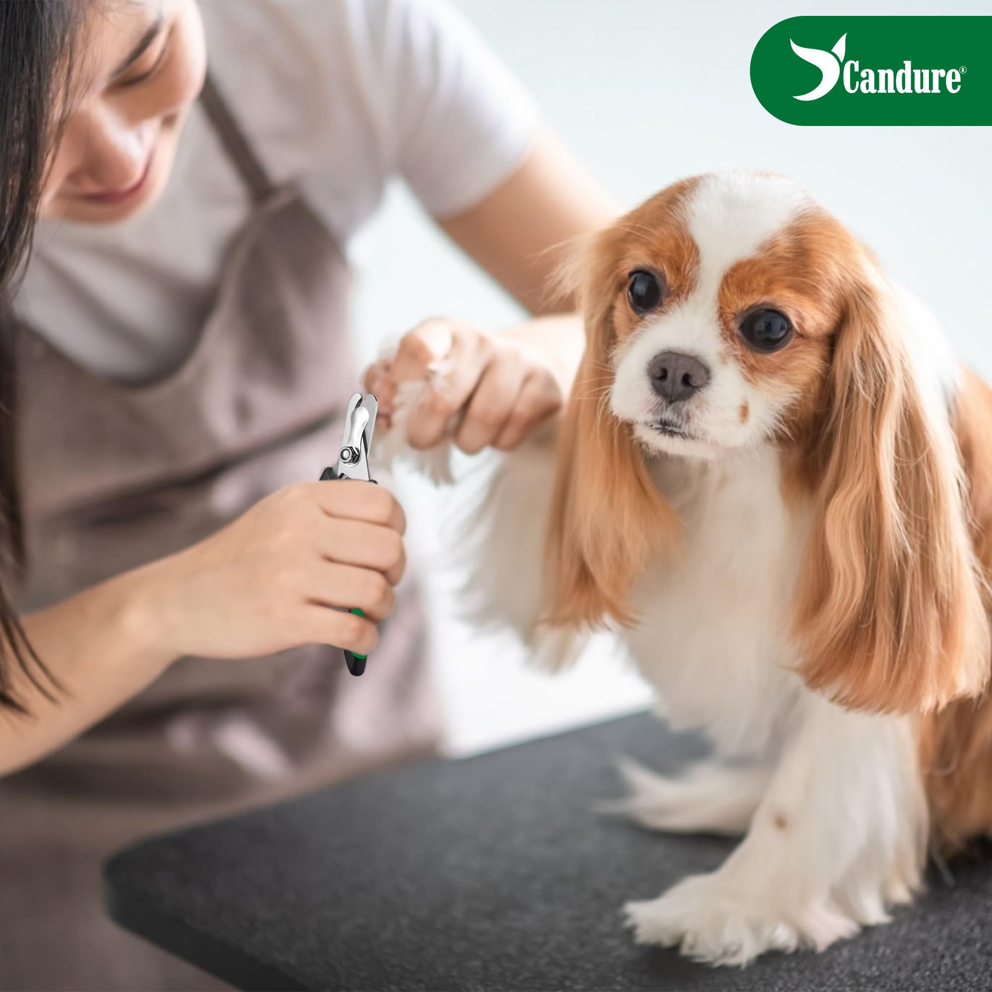 Candure dog nail clippers compact-design portable for quick trims.