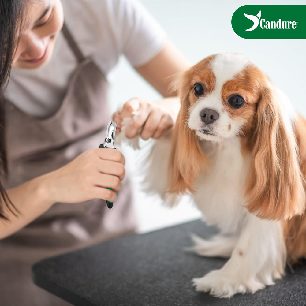Candure dog nail clippers compact-design portable for quick trims.