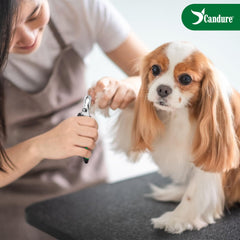 Candure dog nail clippers compact-design portable for quick trims.
