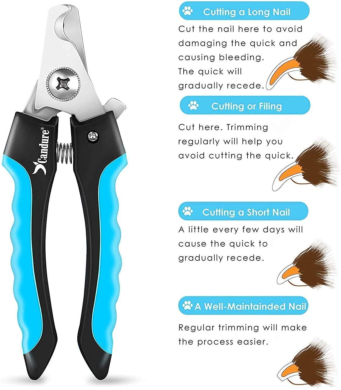Candure gift-ready packaging makes a practical grooming tool for pet lovers.
