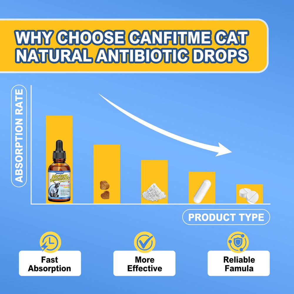 Canfitme-antibitics-cat-skin-issues image implies relief for cats with skin or itch concerns.