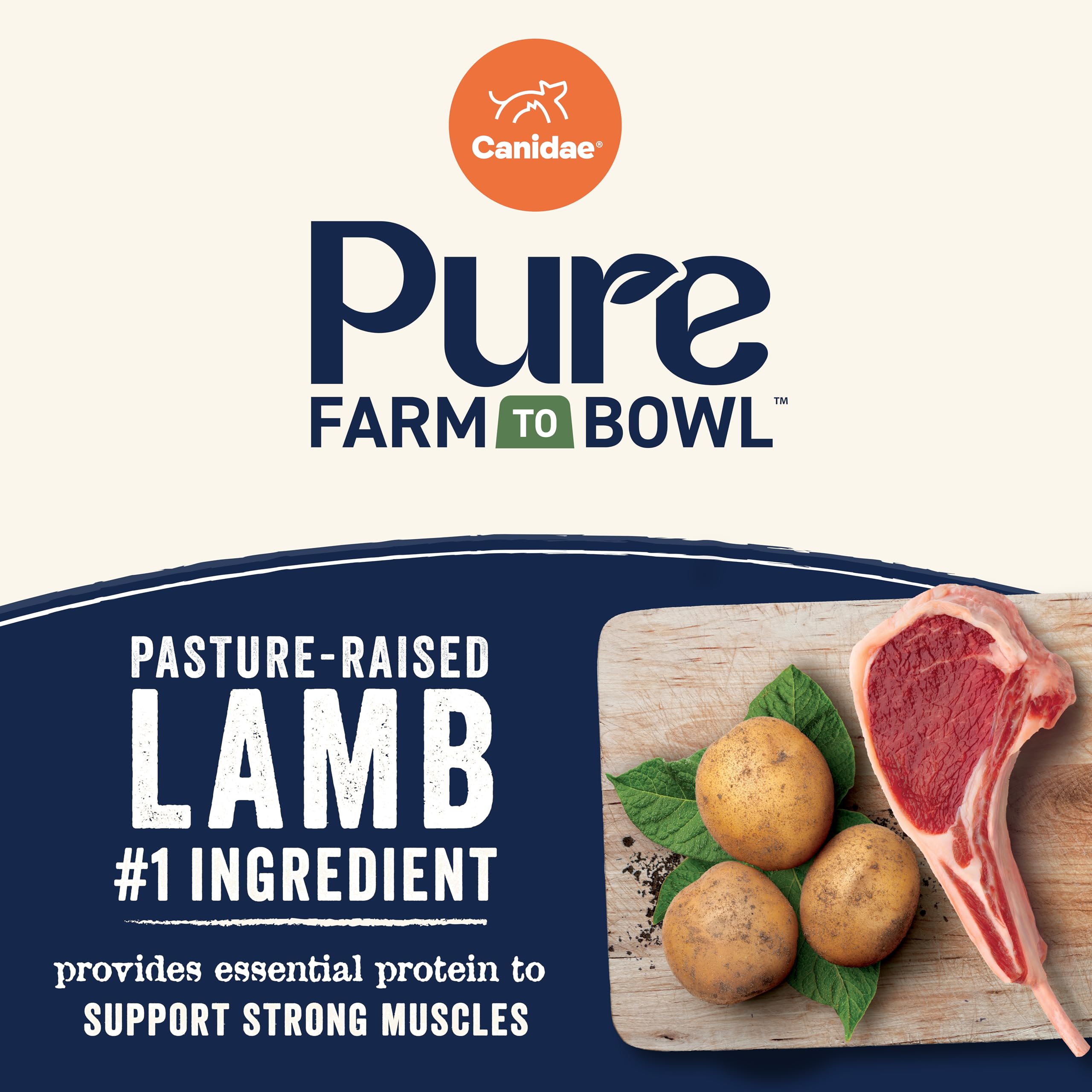 Grain-free dry dog food in Canidae Pure Farm to Bowl served in a bowl