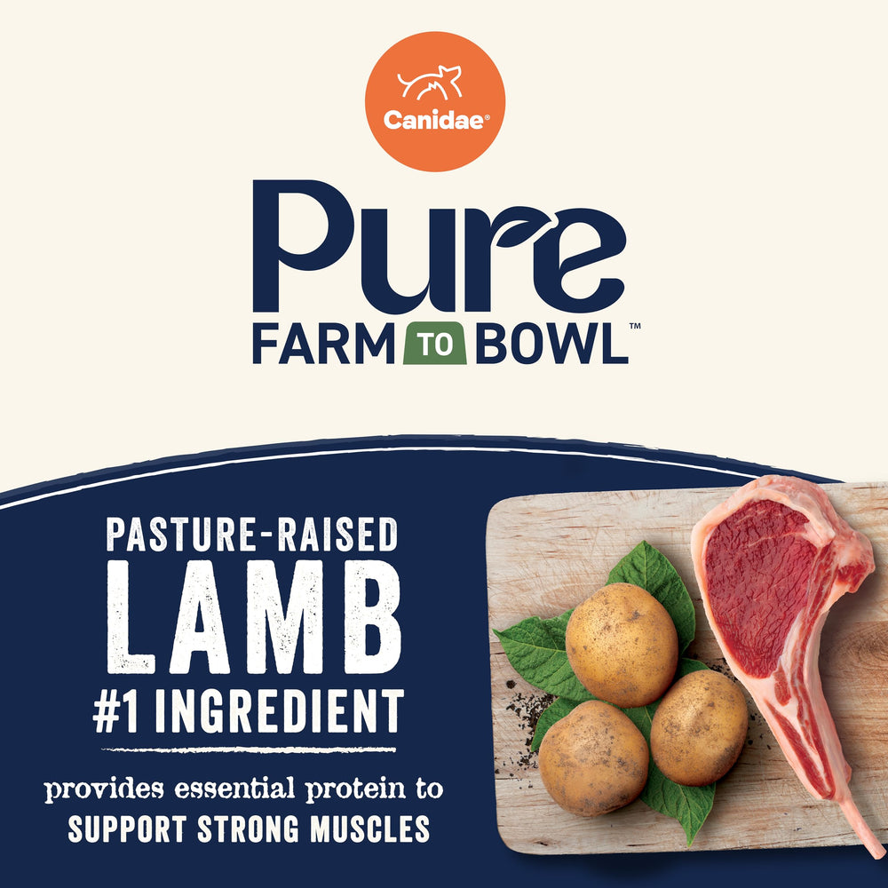 Grain-free dry dog food in Canidae Pure Farm to Bowl served in a bowl