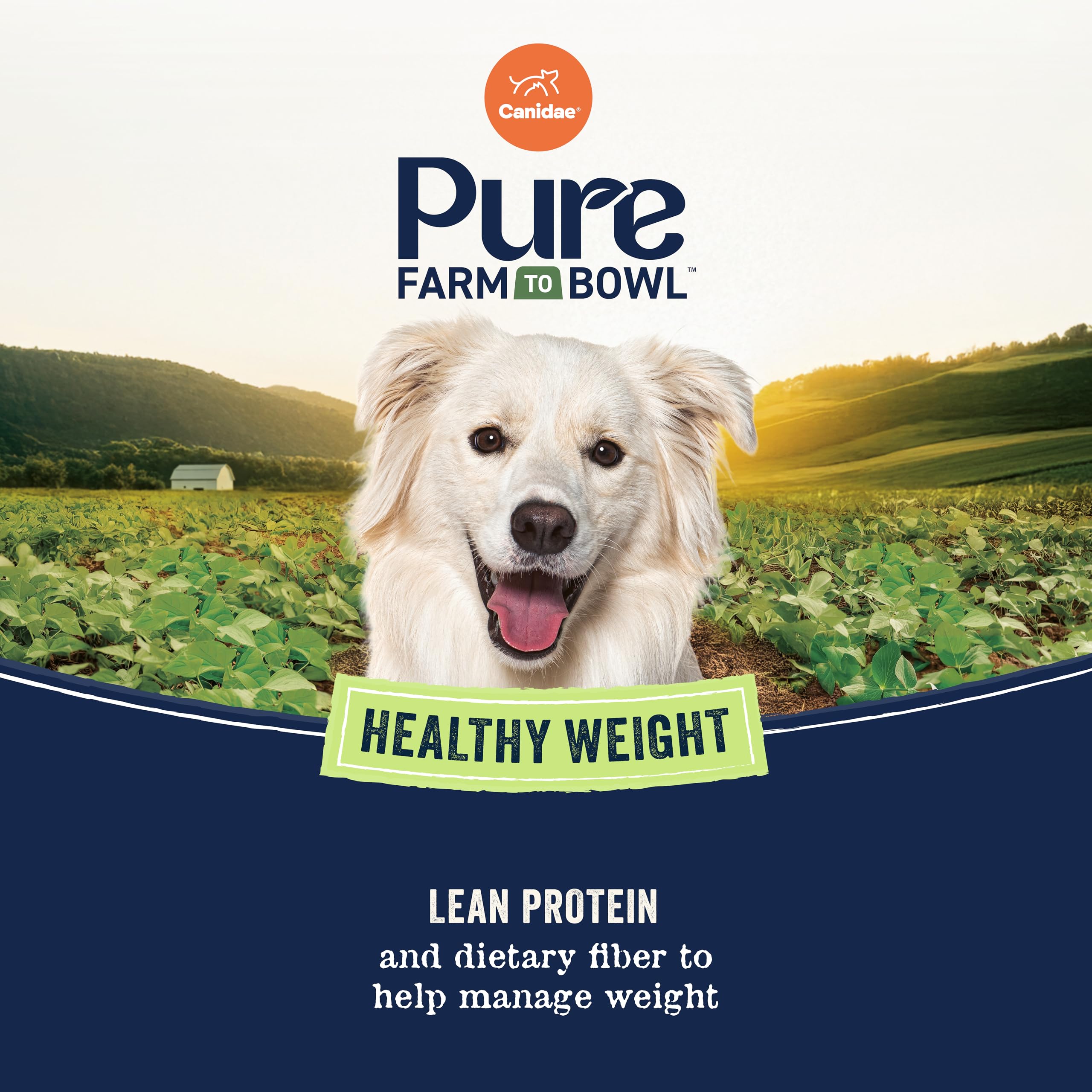 CANIDAE Pure Farm to Bowl lean-protein kibble for lean muscle and fullness.