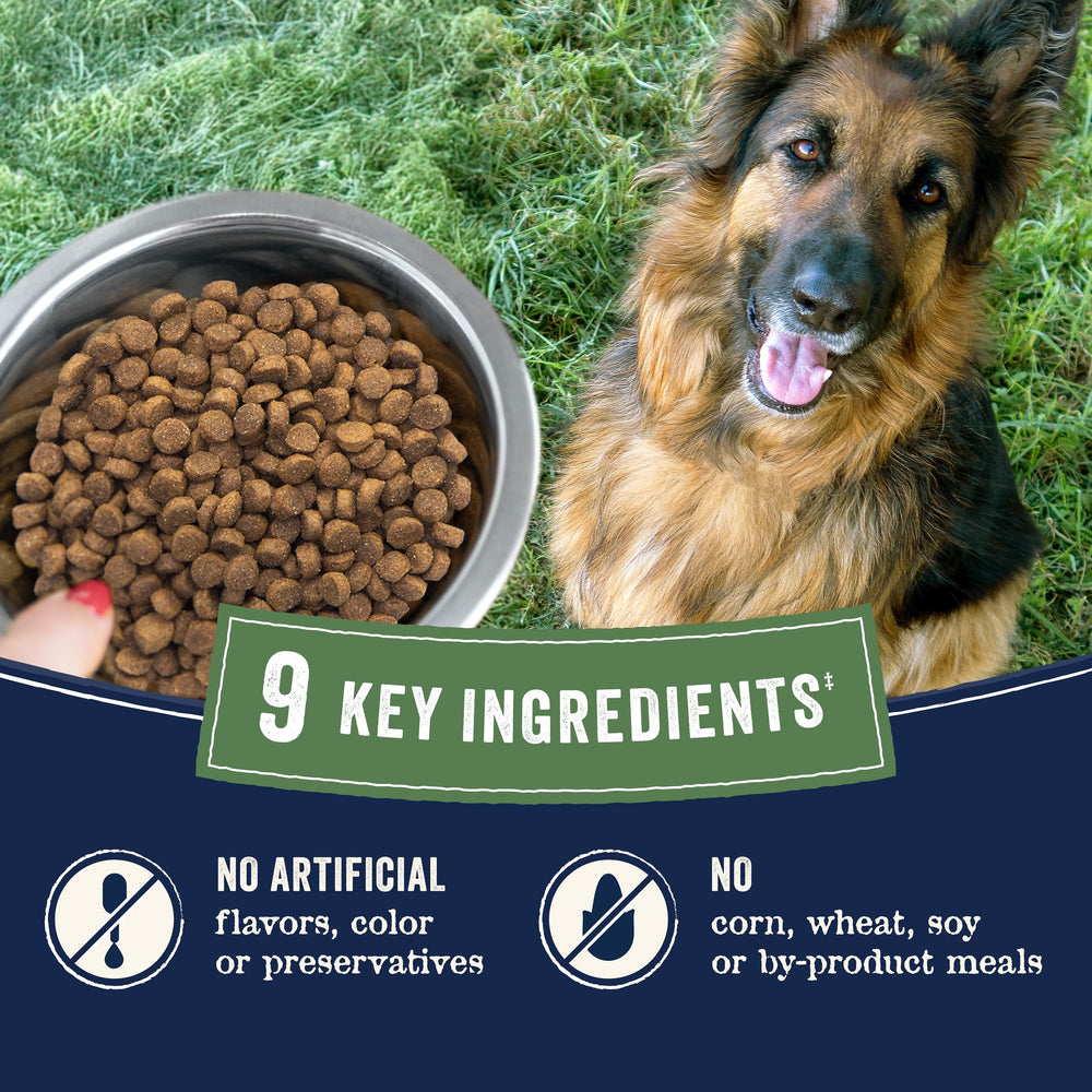 CANIDAE Pure grain-free bag on kitchen counter signaling simple ingredients