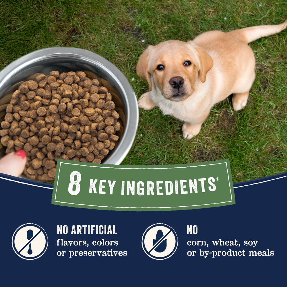 Canidae Pure no-corn-wheat-soy label highlighting allergen-free formulation.