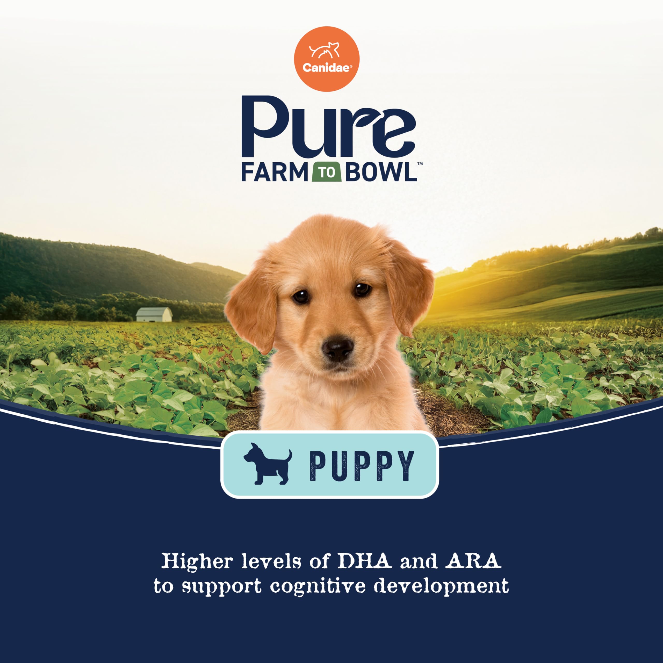 Canidae Pure omega-3-rich-skin-coat close-up illustrating potential shiny coat benefits.