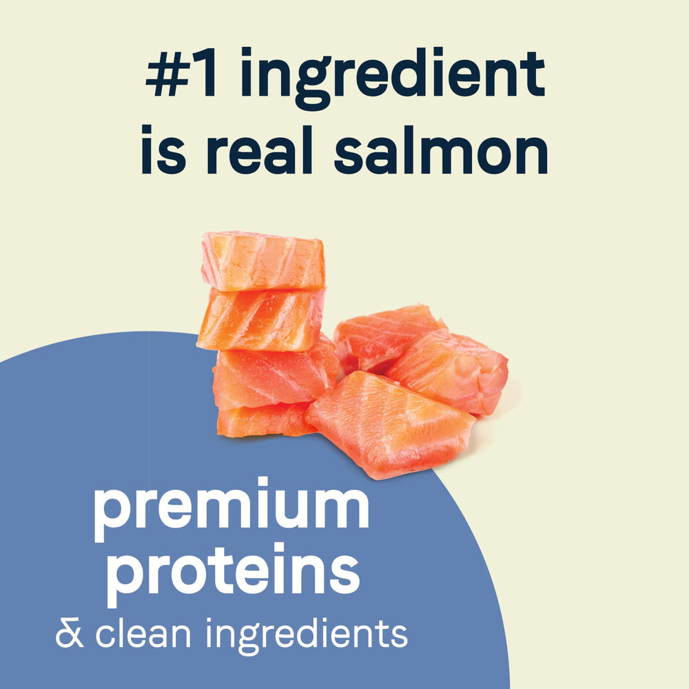 Canidae Pure Petite Salmon ingredients detail with peas and lentils for simple nutrition