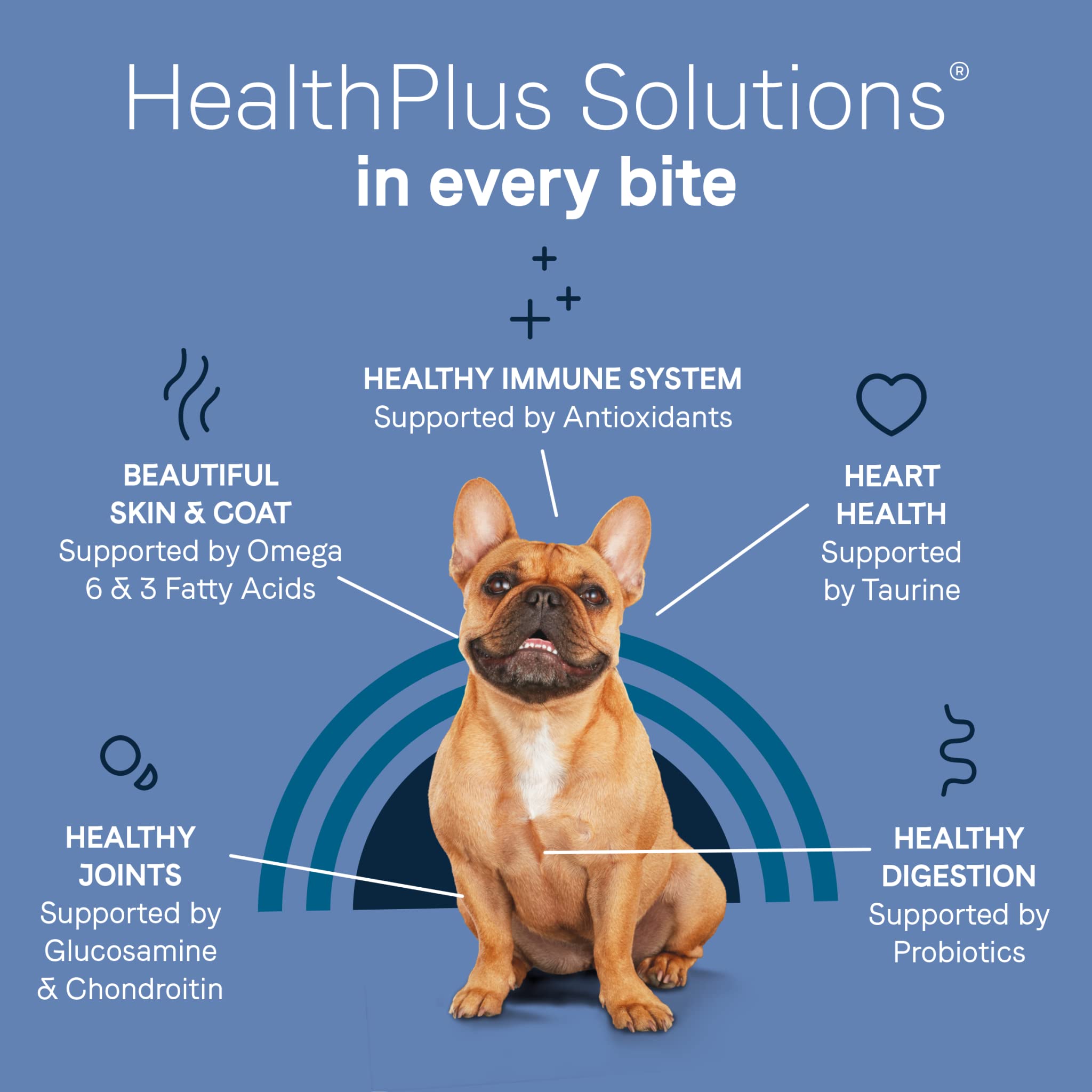 Canidae Pure Petite Salmon small-breed dog meal with bite-sized kibble