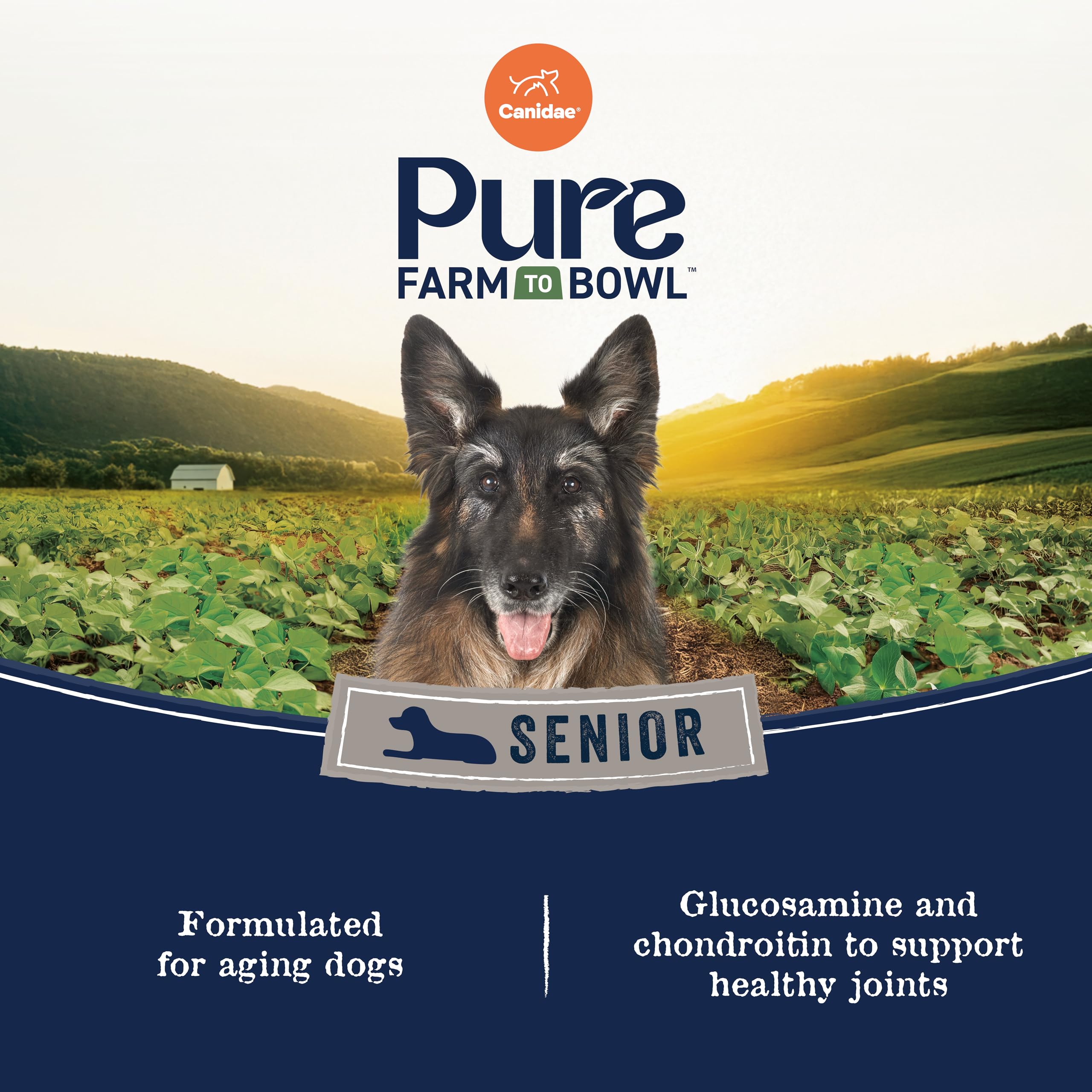 CANIDAE Pure regenerative farming scene emphasizing soil health and sustainability
