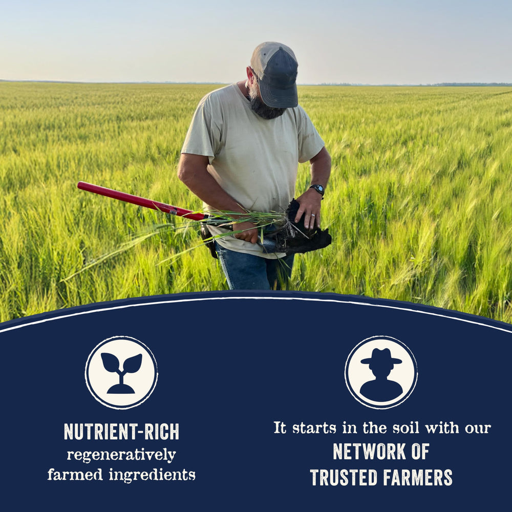 Canidae Pure small-batch-brownwood-texas scene conveying quality and safety.