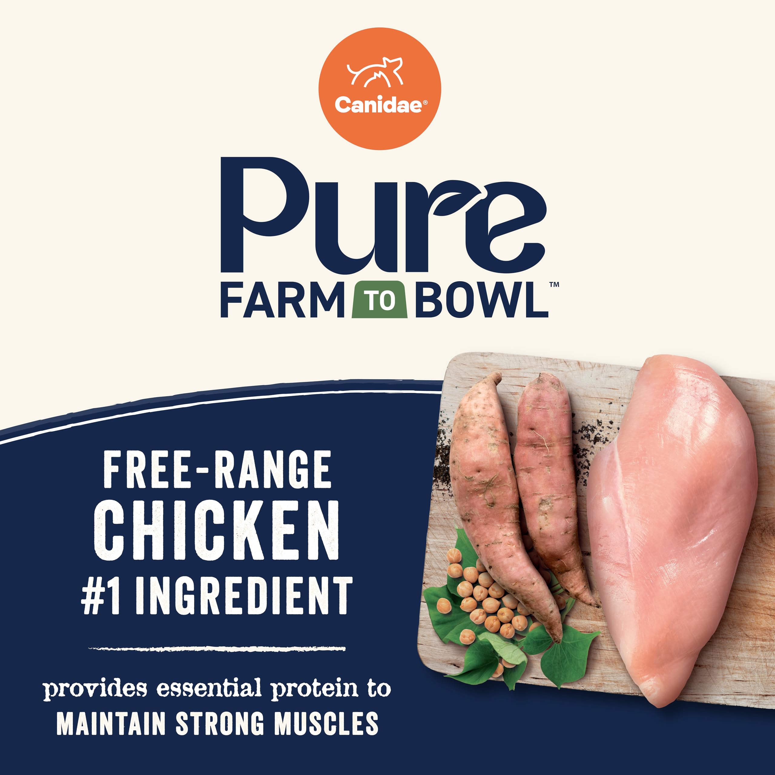 CANIDAE Pure sweet potato and garbanzo beans close-up for energy and fiber