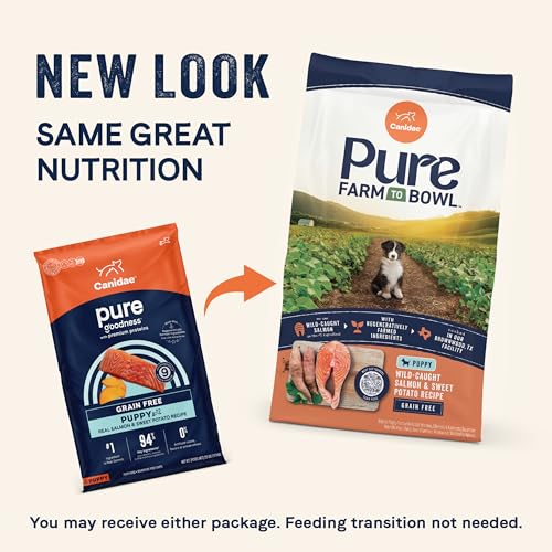 Canidae Pure sweet-potato-puppy-kibble emphasizing grain-free nutrition for growing puppies.