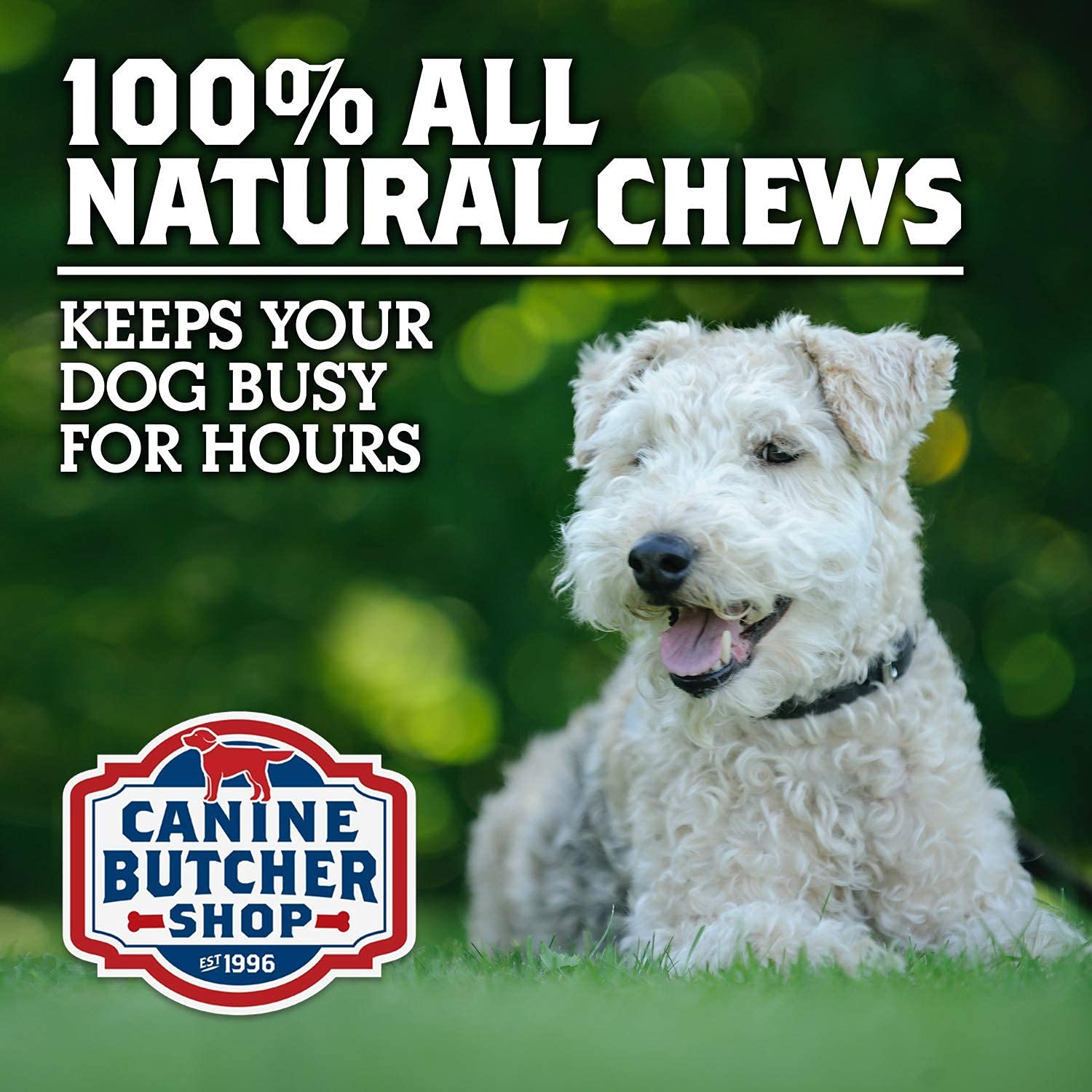 Canine Butcher Shop pig ears slow cooked process – safe, high-quality chew experience