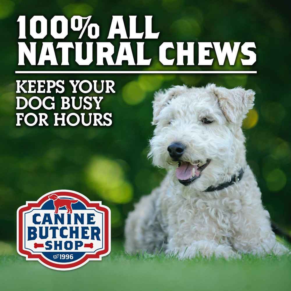 Canine Butcher Shop dog chewing texture image suggests longer, satisfying sessions.