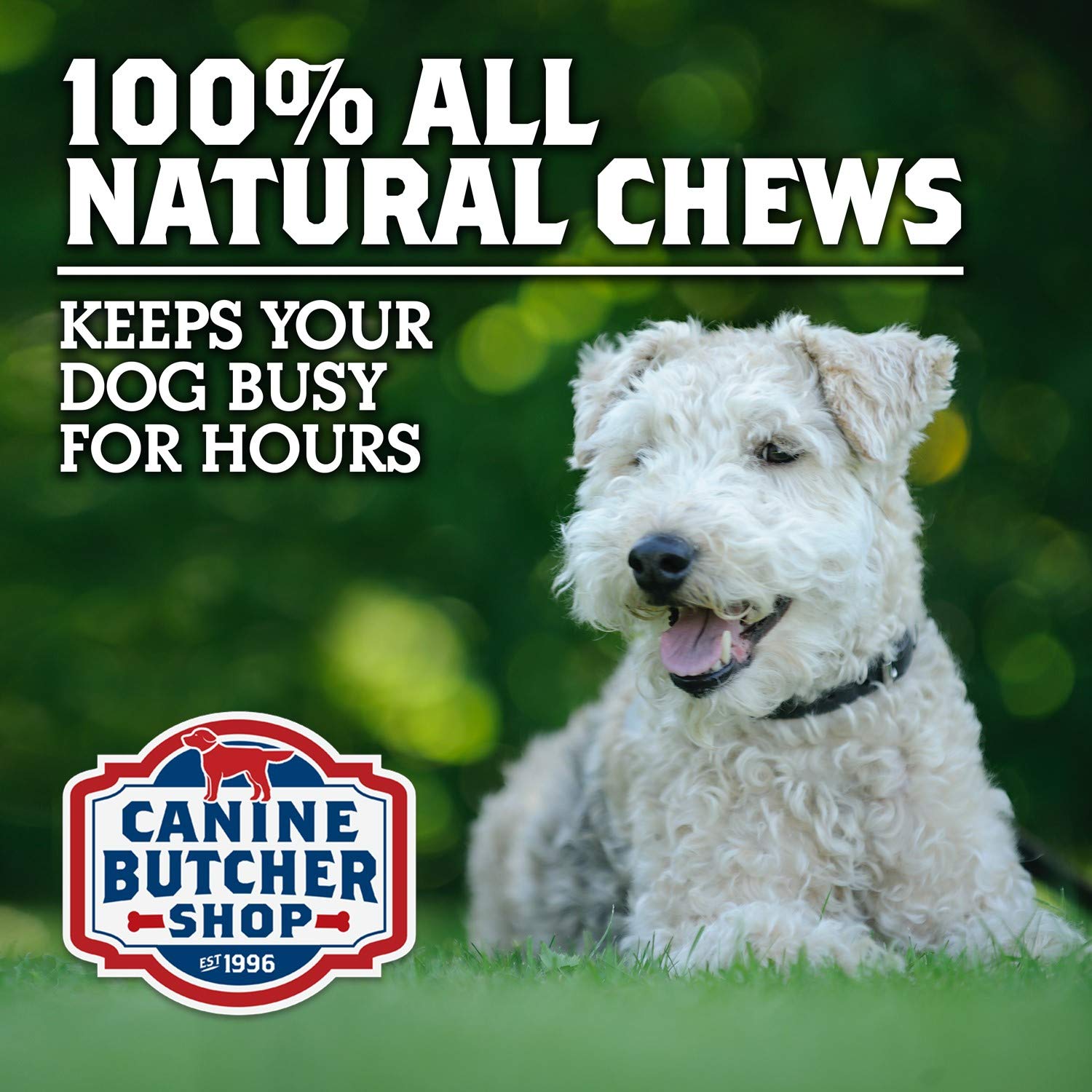 Canine Butcher Shop puppy-friendly chew suitable for small breeds