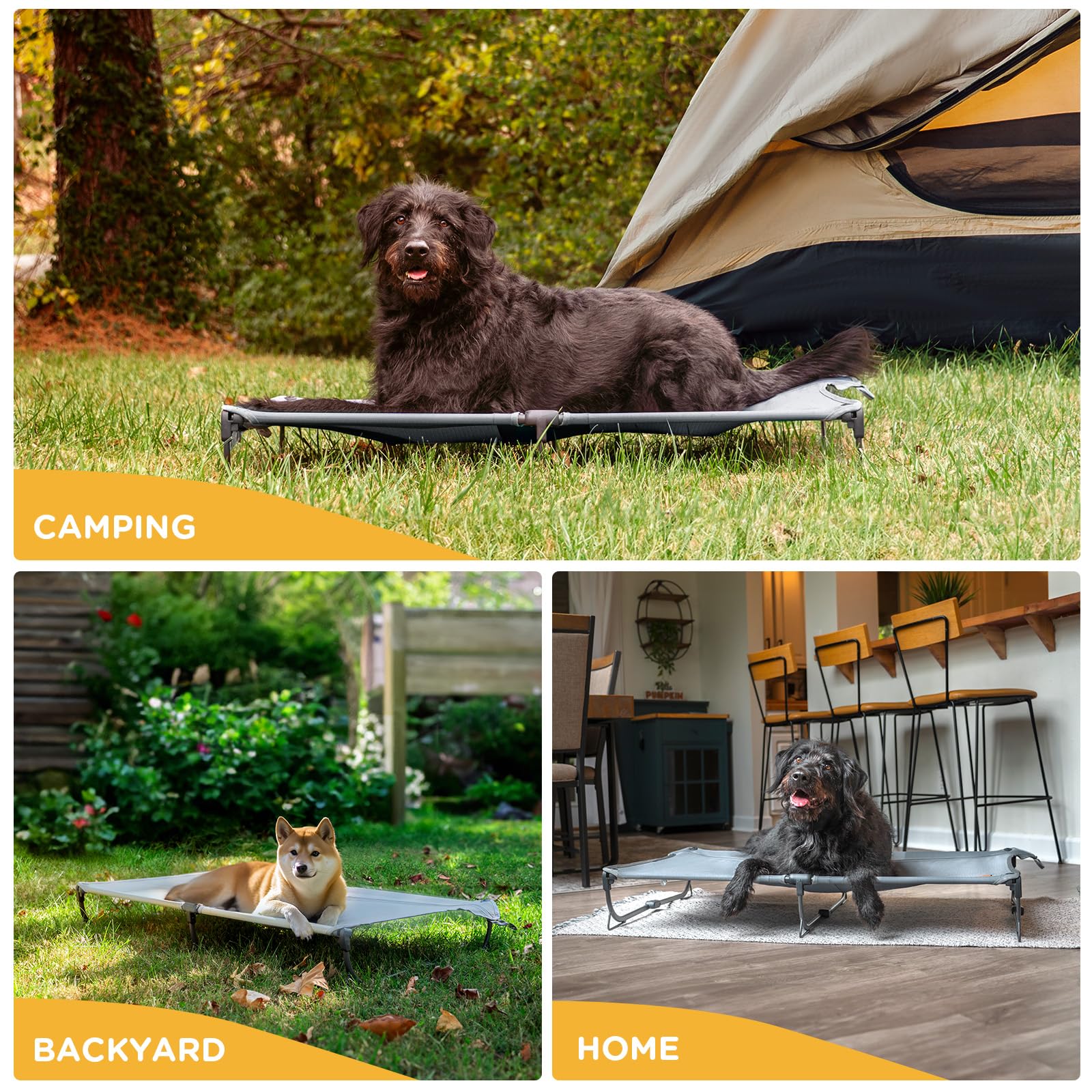 Canine Canyon Daisy Cot measures 43 x 27 x 7 inches for large dogs.