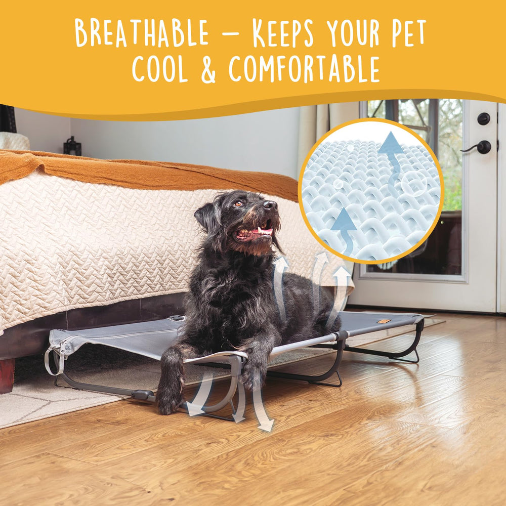 Canine Canyon Daisy Cot dog resting on breathable elevated cot.