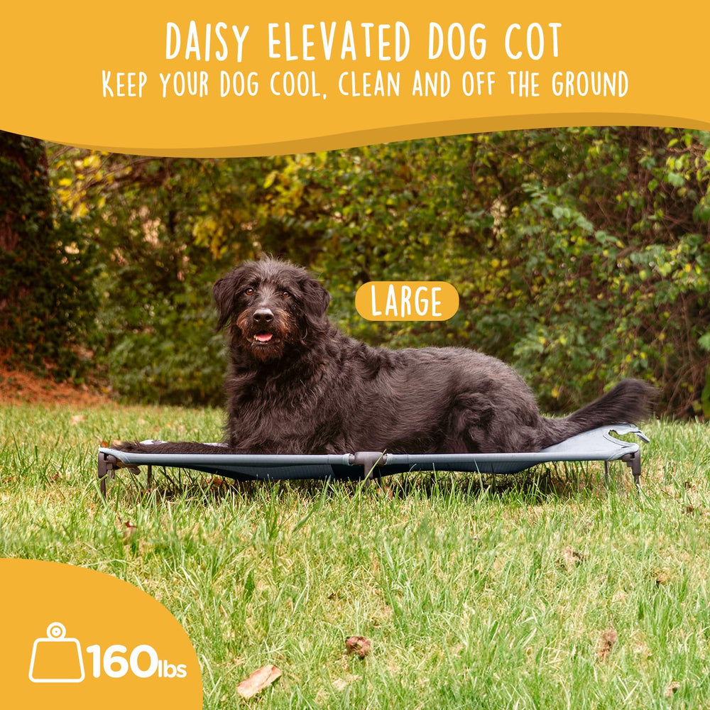Canine Canyon Daisy Cot setup shows elevated bed for outdoors.