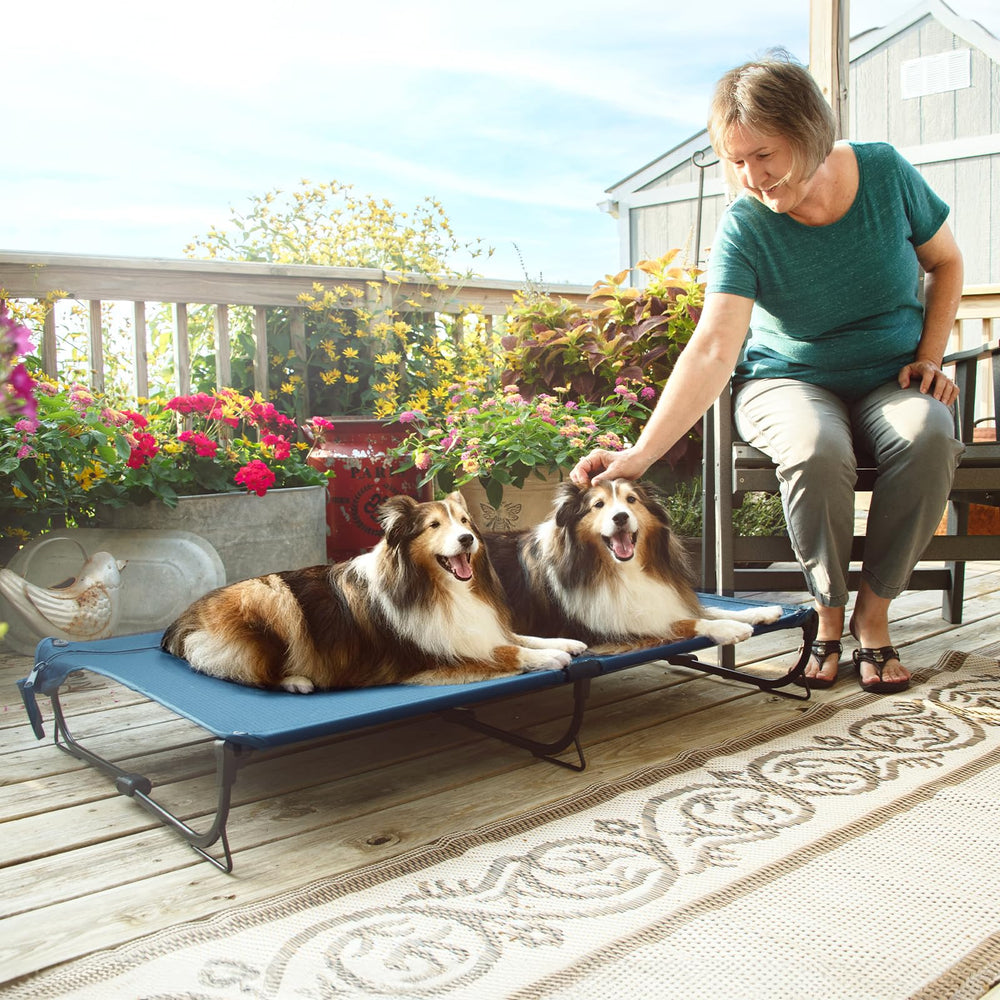 CANINE CANYON folding-raised-dog-bed dark-blue color suits outdoor spaces.