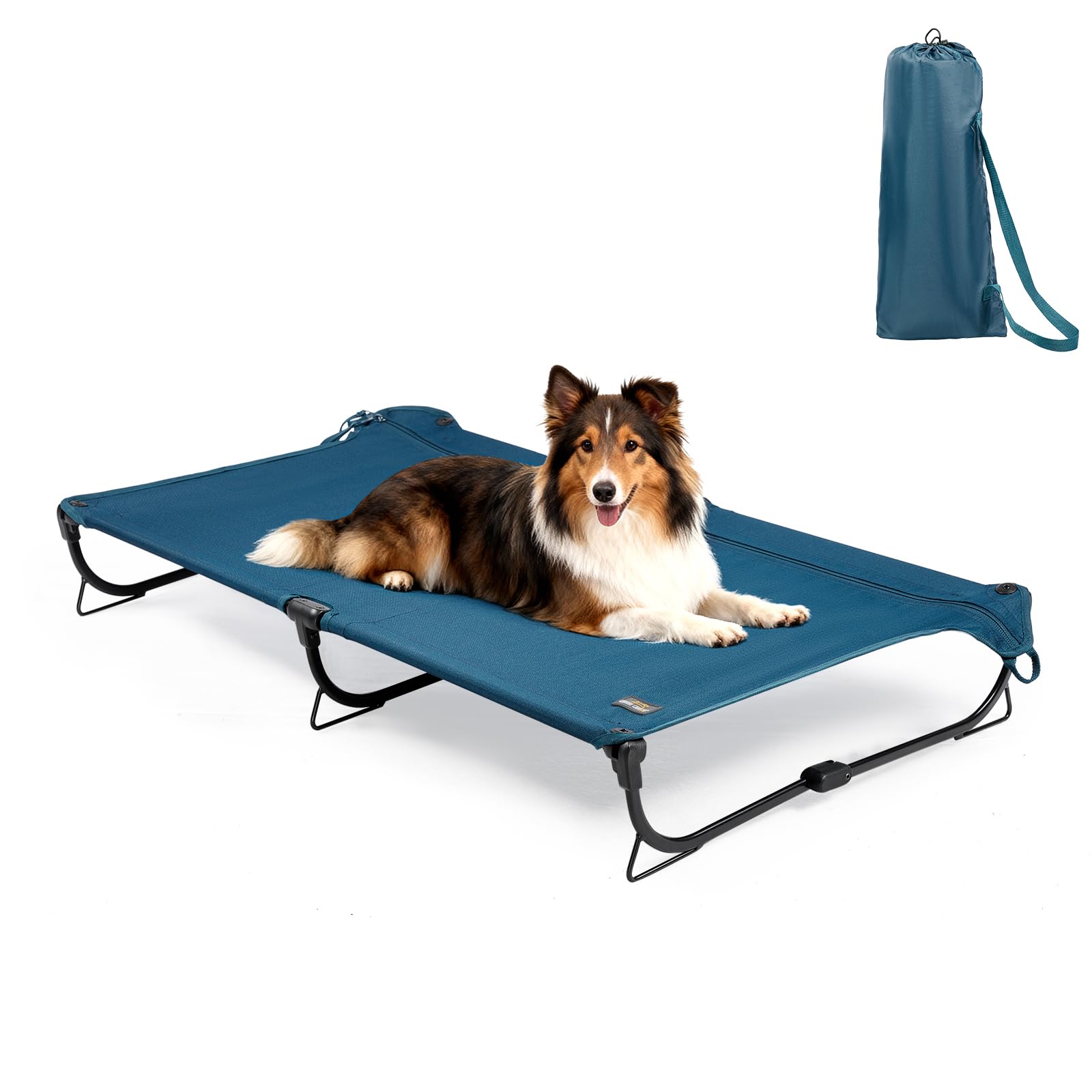 CANINE CANYON folding-raised dog cot folded for travel storage and portability