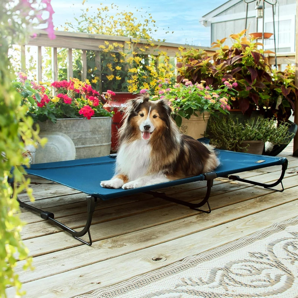 CANINE CANYON folds compactly for quick storage and travel