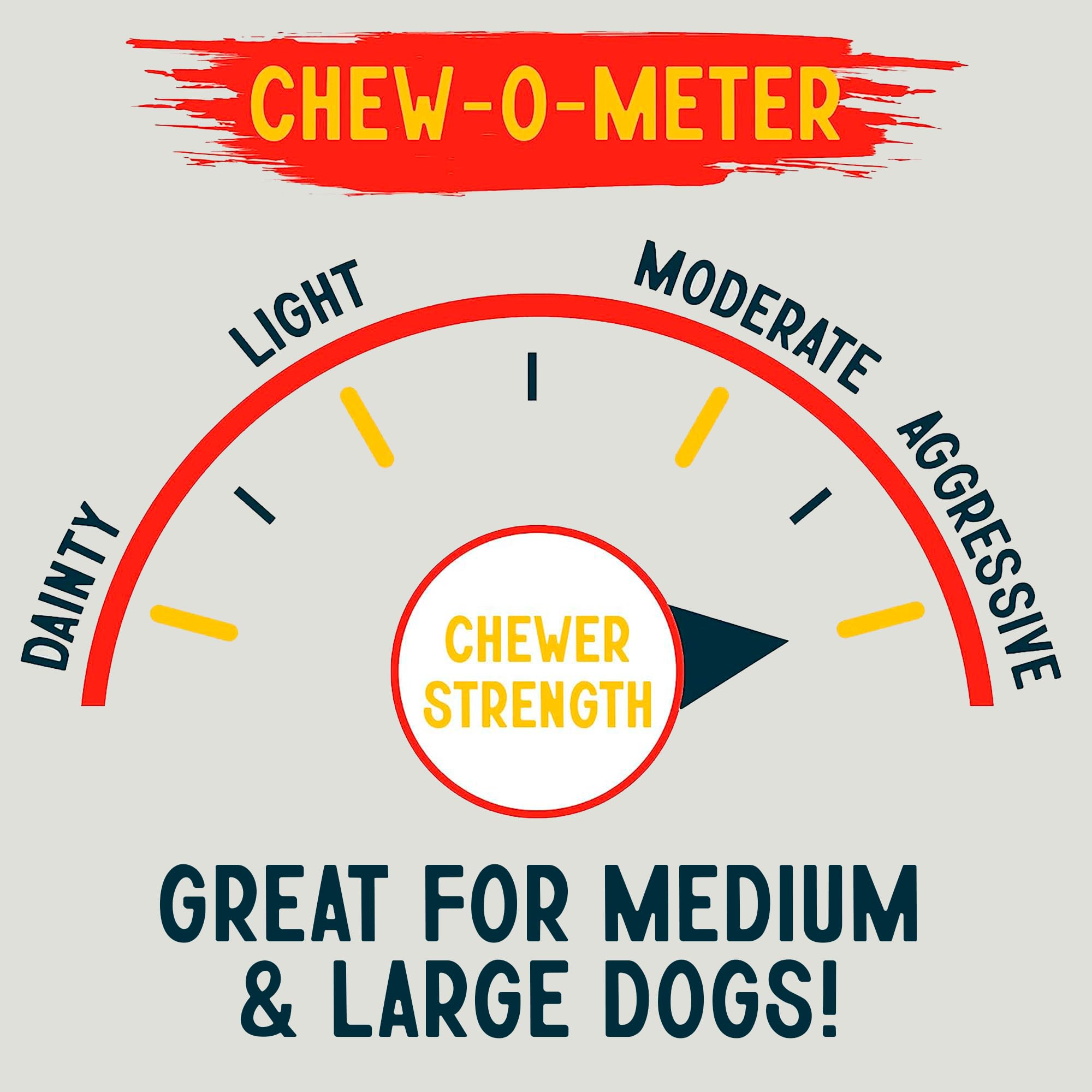 Canine Chews 10in rawhide roll during dog chewing activity provides steady entertainment.
